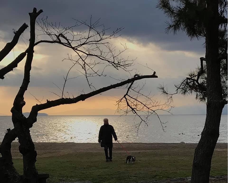 f:id:higejijiix:20190331163708j:plain