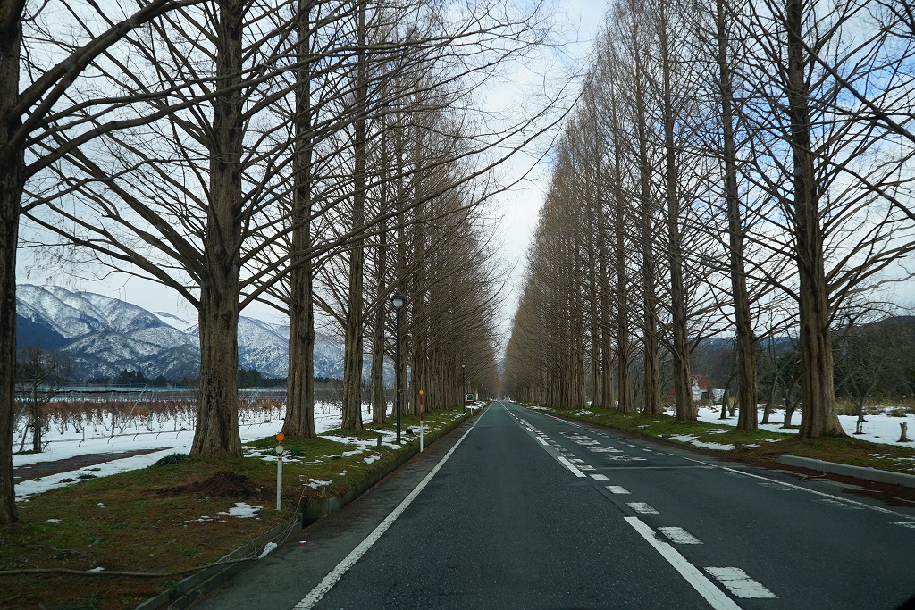 f:id:higejijiix:20190331162637j:plain