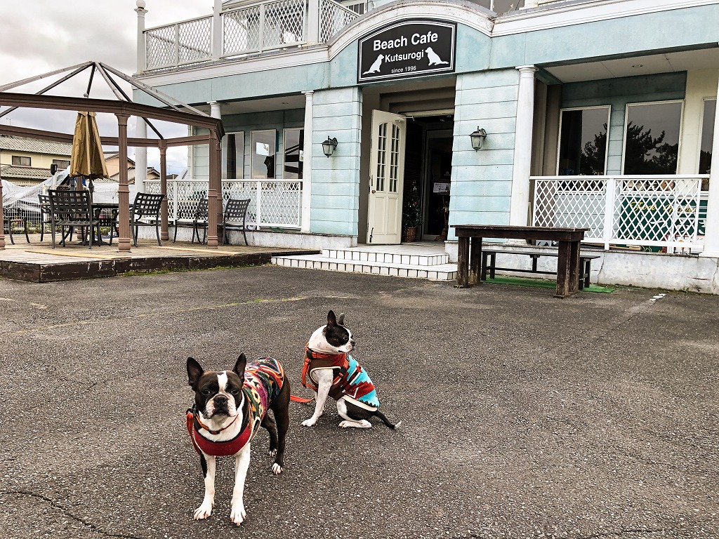 f:id:higejijiix:20190331160116j:plain